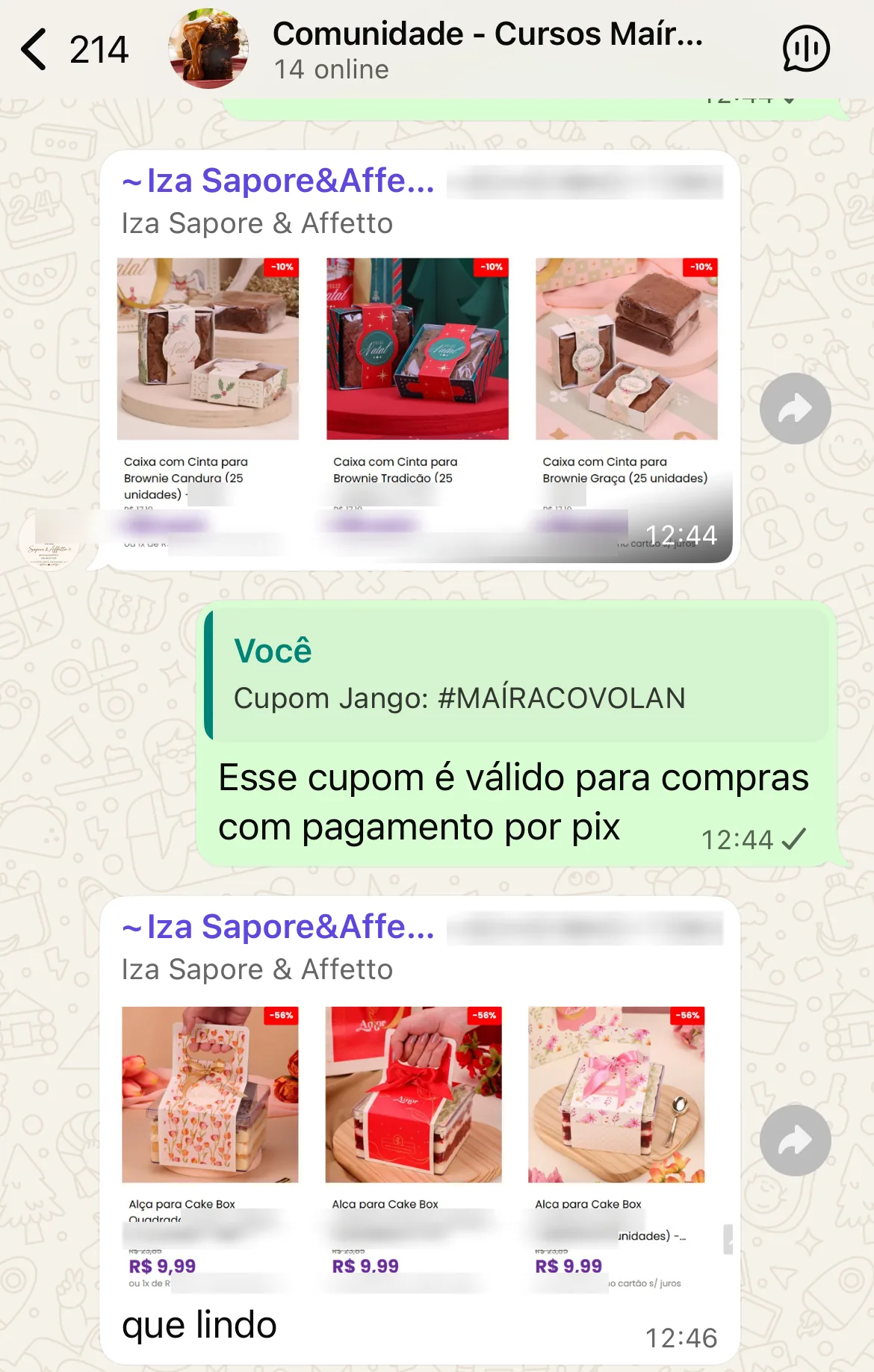 Print da comunidade exclusiva de alunos no WhatsApp