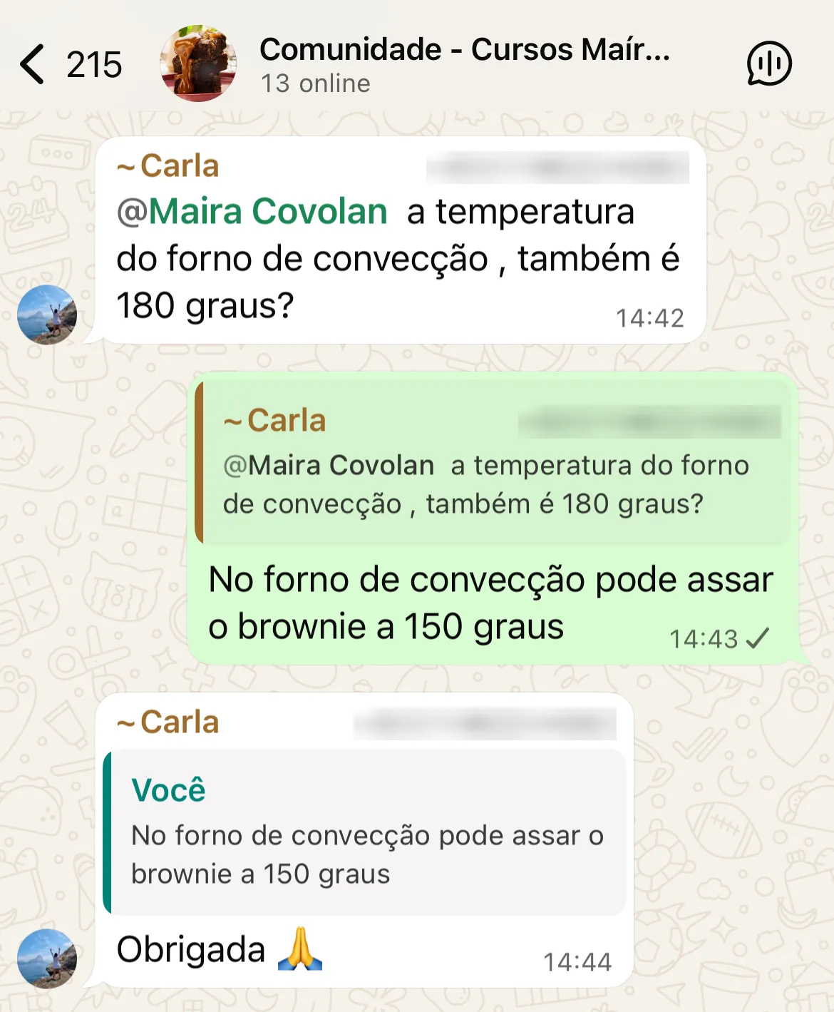 Print da comunidade exclusiva de alunos no WhatsApp